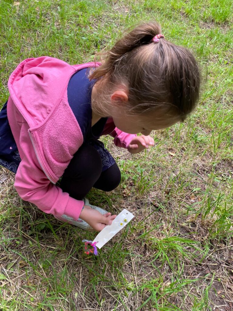 Mädchen kniet auf dem Boden und sieht sich Blüten an die sie gefunden hat.