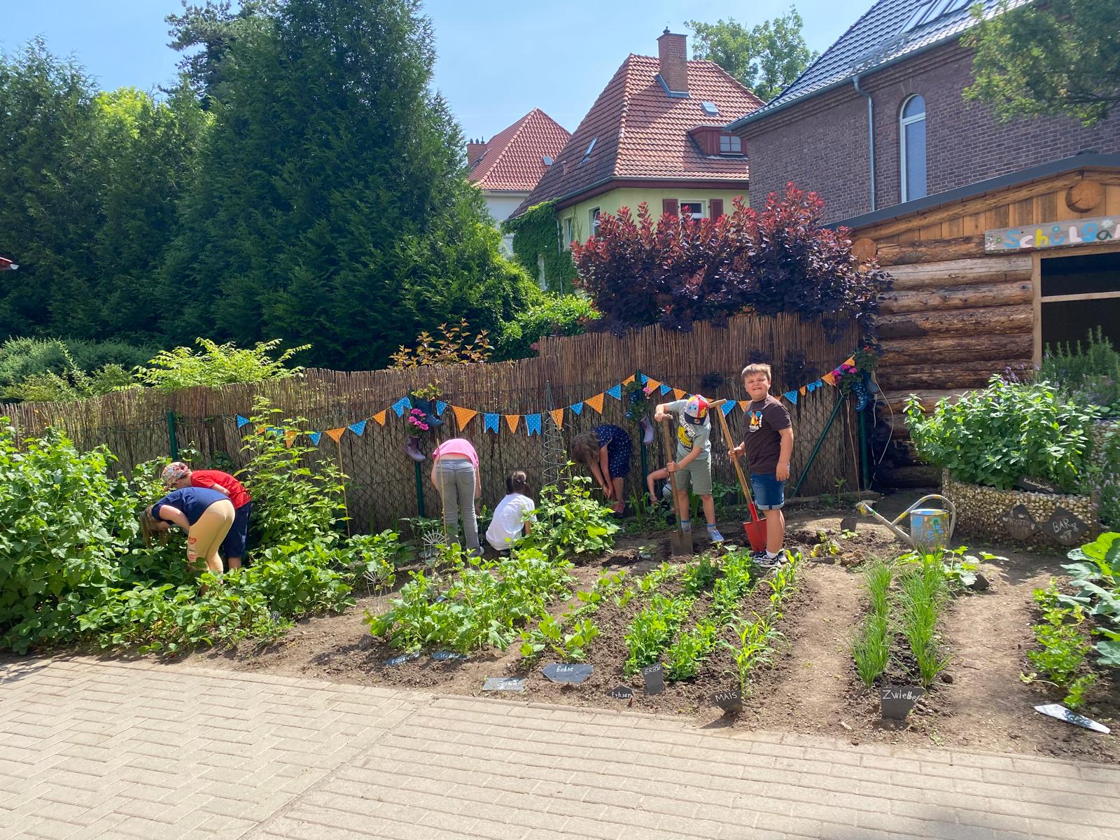 Kinder arbeiten im Schulgarten. Zwei Jungen graben mit Schaufeln Löcher.