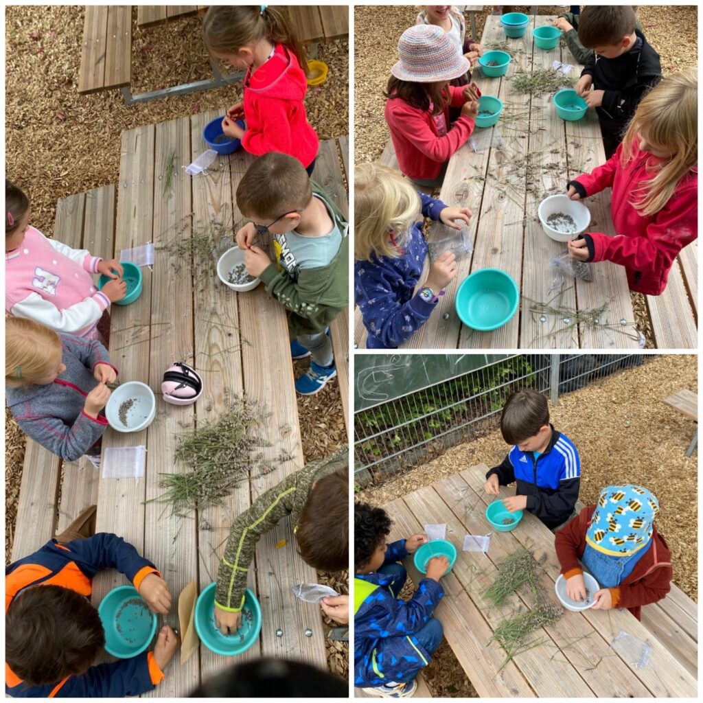 Kinder basteln Lavendelsäcke.