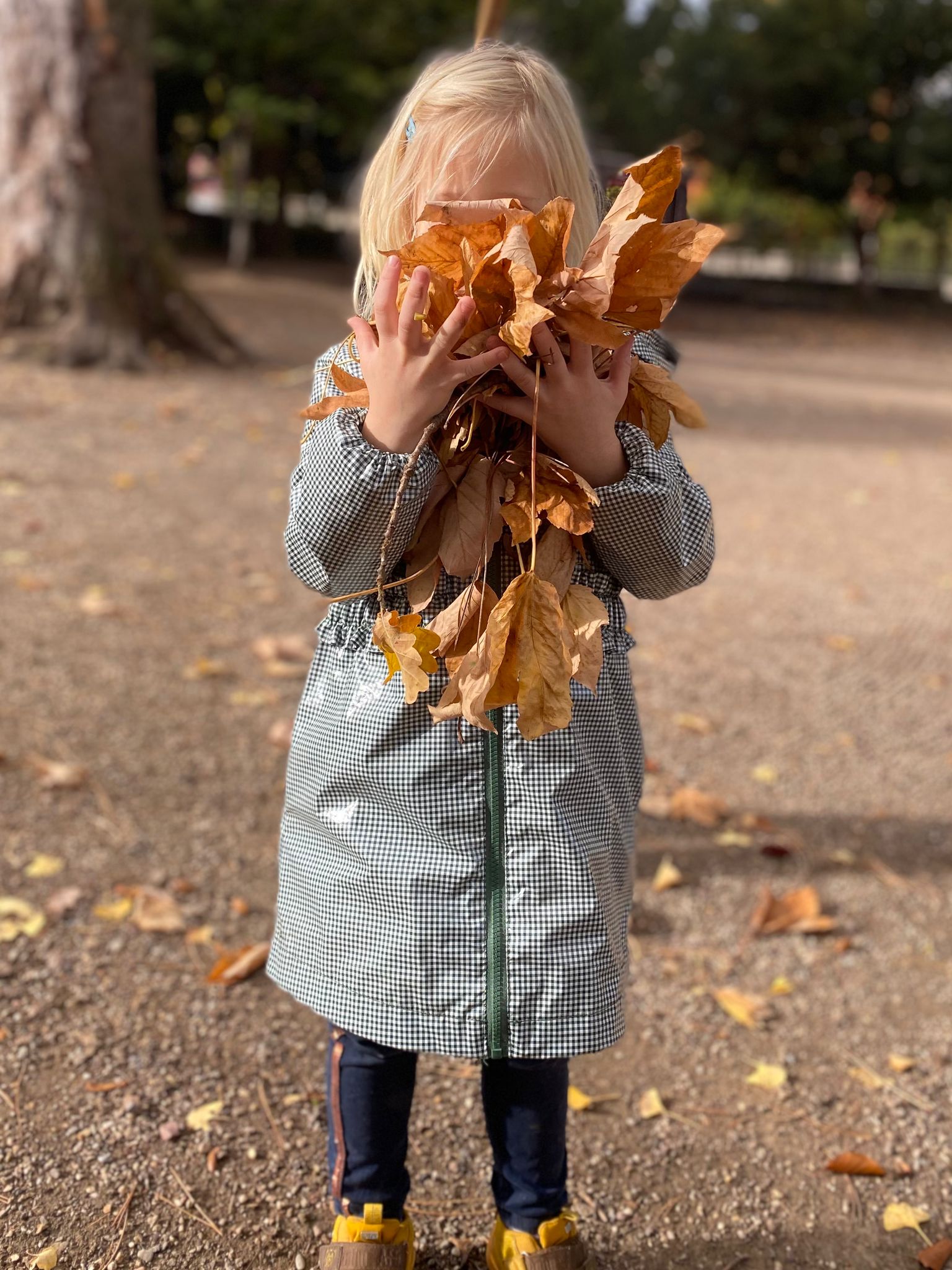 Wir wünschen Euch allen eine wunderschöne Herbstzeit! 🍂